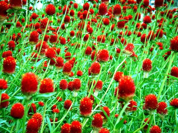 142590997_1178c8c32c_b